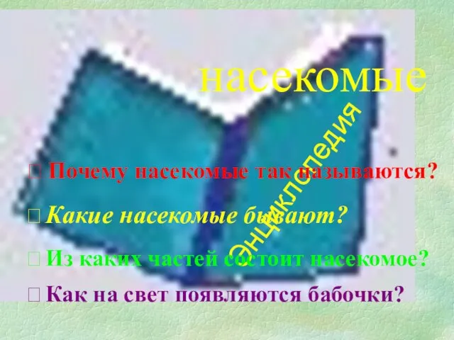 Энциклопедия насекомые ? Почему насекомые так называются? ? Какие насекомые бывают? ?