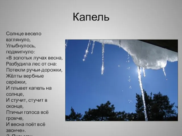 Капель Солнце весело взглянуло, Улыбнулось, подмигнуло: «В золотых лучах весна, Разбудила лес