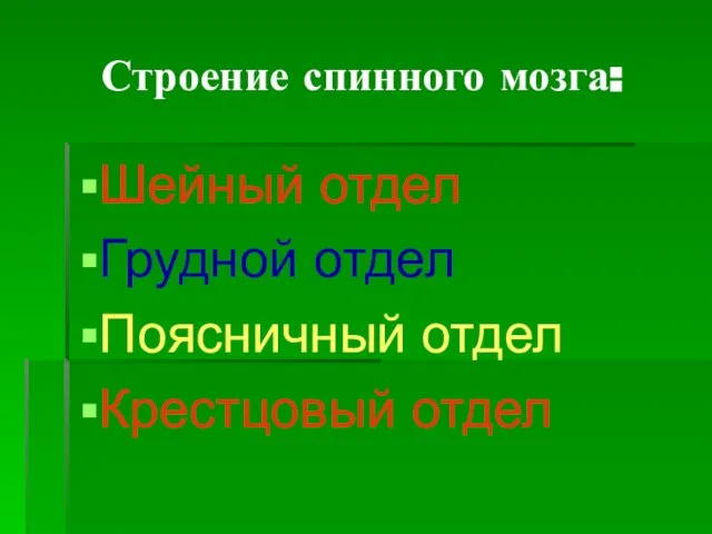 Строение спинного мозга: Шейный отдел Грудной отдел Поясничный отдел Крестцовый отдел