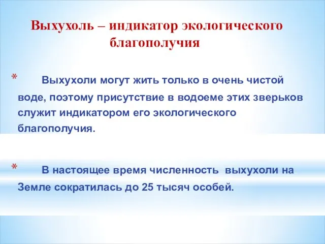 Выхухоли могут жить только в очень чистой воде, поэтому присутствие в водоеме