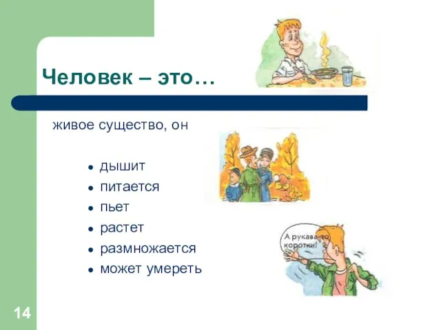 Человек – это… живое существо, он дышит питается пьет растет размножается может умереть