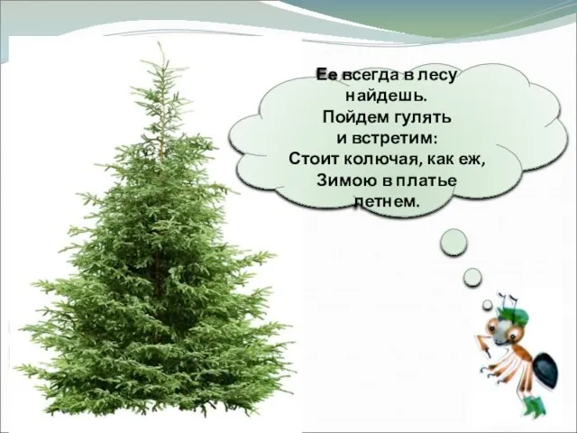 Ее всегда в лесу найдешь. Пойдем гулять и встретим: Стоит колючая, как