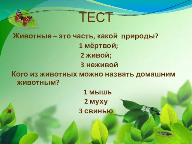 ТЕСТ Животные – это часть, какой природы? 1 мёртвой; 2 живой; 3