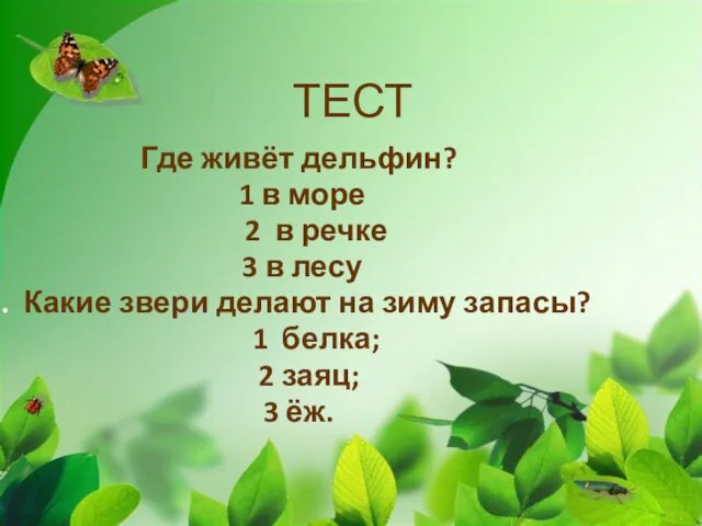 ТЕСТ Где живёт дельфин? 1 в море 2 в речке 3 в