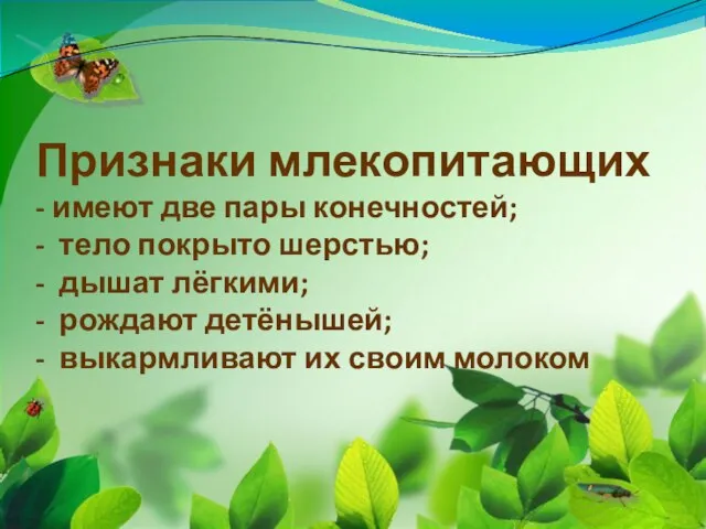 Признаки млекопитающих - имеют две пары конечностей; - тело покрыто шерстью; -