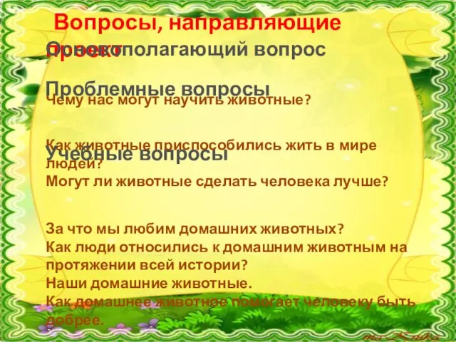 Вопросы, направляющие проект Чему нас могут научить животные? Как животные приспособились жить