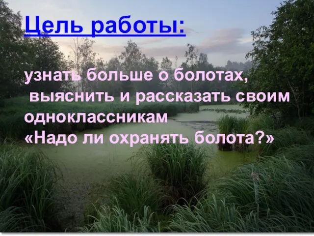 Цель работы: узнать больше о болотах, выяснить и рассказать своим одноклассникам «Надо ли охранять болота?»