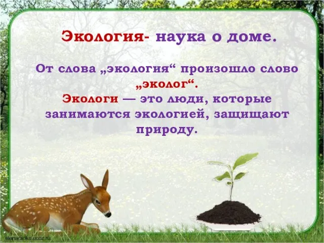 Экология- наука о доме. От слова „экология“ произошло слово „эколог“. Экологи —