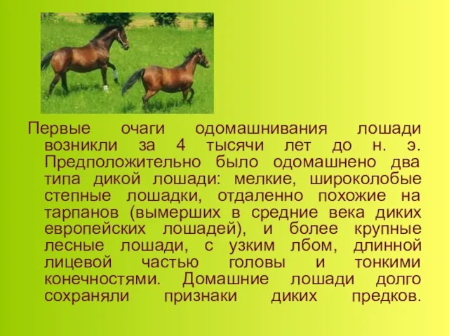 Первые очаги одомашнивания лошади возникли за 4 тысячи лет до н. э.
