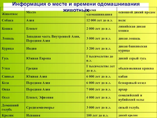 Информация о месте и времени одомашнивания животных