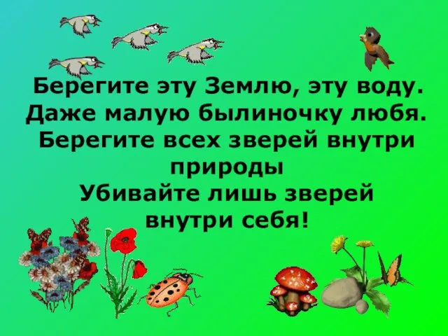 Берегите эту Землю, эту воду. Даже малую былиночку любя. Берегите всех зверей