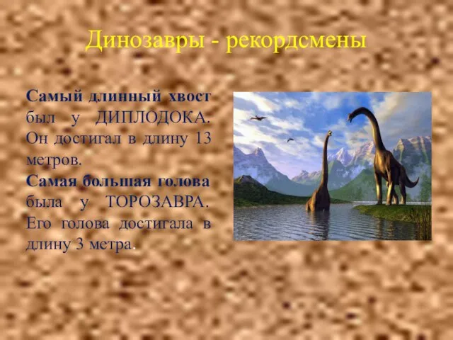 Динозавры - рекордсмены Самый длинный хвост был у ДИПЛОДОКА. Он достигал в