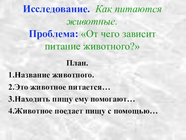 Исследование. Как питаются животные. Проблема: «От чего зависит питание животного?» План. 1.Название