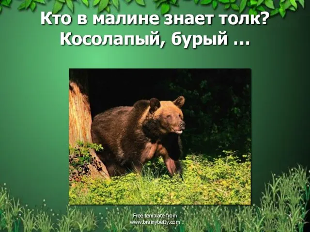 Кто в малине знает толк? Косолапый, бурый … * Free template from www.brainybetty.com