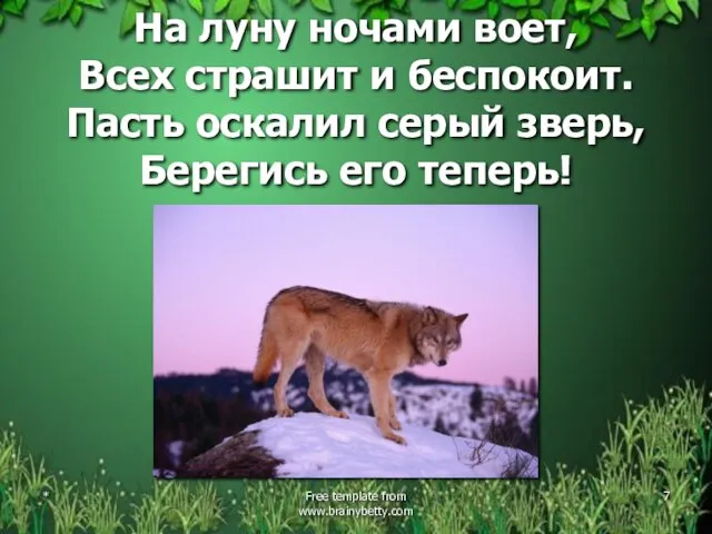 На луну ночами воет, Всех страшит и беспокоит. Пасть оскалил серый зверь,