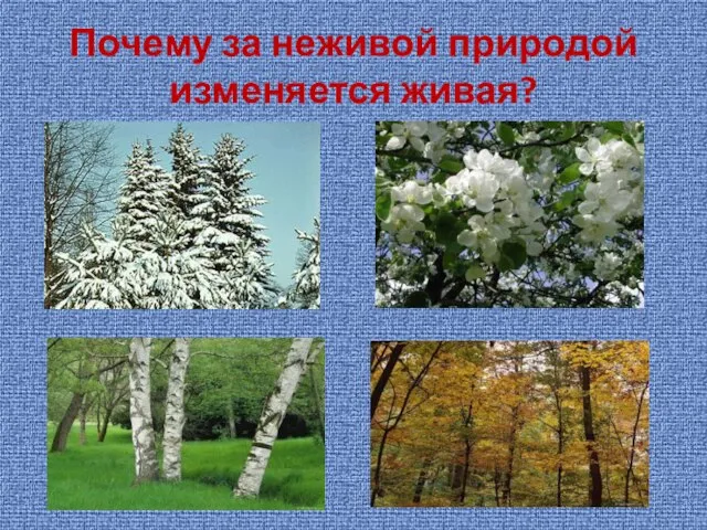 Почему за неживой природой изменяется живая?