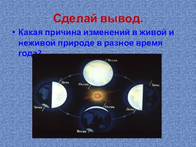 Сделай вывод. Какая причина изменений в живой и неживой природе в разное время года?