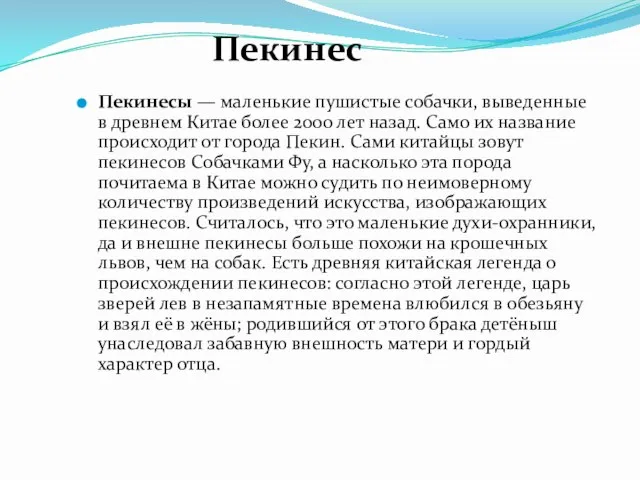 Пекинесы — маленькие пушистые собачки, выведенные в древнем Китае более 2000 лет