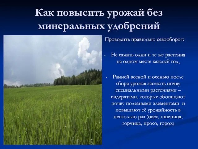 Как повысить урожай без минеральных удобрений Проводить правильно севооборот: Не сажать одни