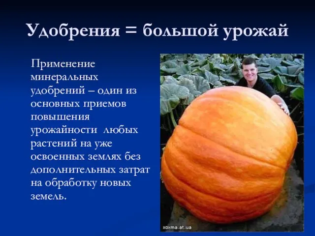 Удобрения = большой урожай Применение минеральных удобрений – один из основных приемов