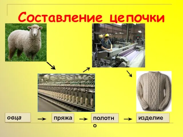 Составление цепочки овца пряжа изделие полотно