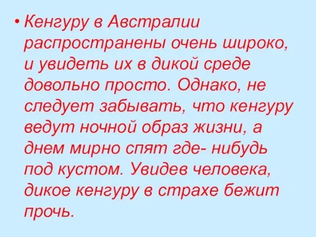 Кенгуру в Австралии распространены очень широко, и увидеть их в дикой среде