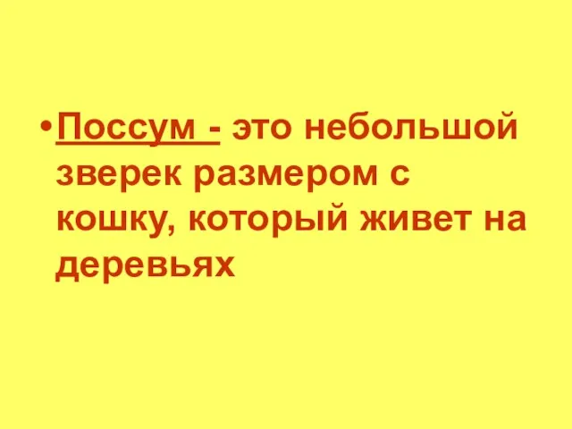 Поссум - это небольшой зверек размером с кошку, который живет на деревьях