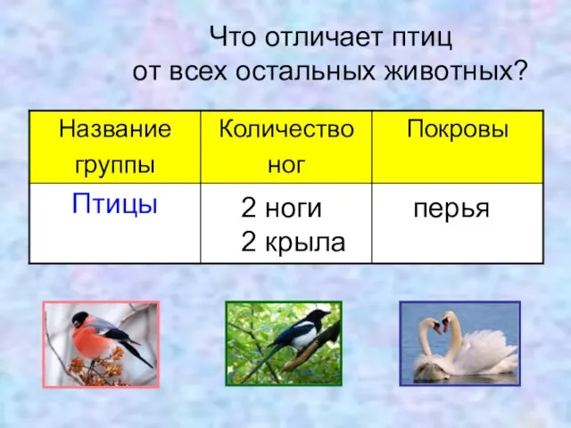 Что отличает птиц от всех остальных животных? 2 ноги 2 крыла перья