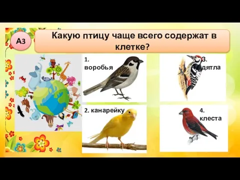 Какую птицу чаще всего содержат в клетке? А3