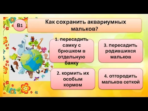 Как сохранить аквариумных мальков? В1 2. кормить их особым кормом 3. пересадить