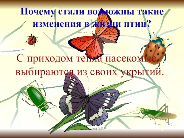 Анатольева Э.В. Почему стали возможны такие изменения в жизни птиц? С приходом