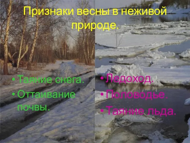 Анатольева Э.В. Признаки весны в неживой природе. Таяние снега. Оттаивание почвы. Ледоход. Половодье. Таяние льда.