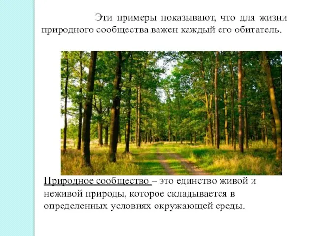 Эти примеры показывают, что для жизни природного сообщества важен каждый его обитатель.