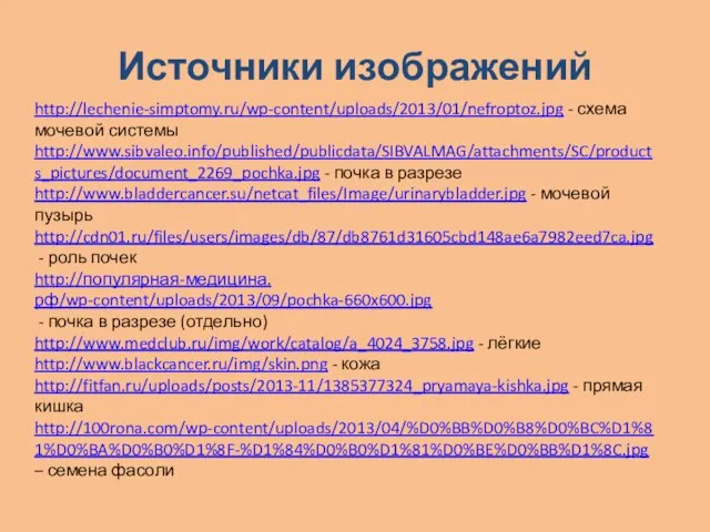 Источники изображений http://lechenie-simptomy.ru/wp-content/uploads/2013/01/nefroptoz.jpg - схема мочевой системы http://www.sibvaleo.info/published/publicdata/SIBVALMAG/attachments/SC/products_pictures/document_2269_pochka.jpg - почка в разрезе