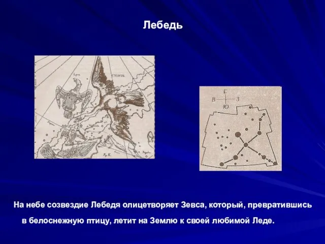 Лебедь На небе созвездие Лебедя олицетворяет Зевса, который, превратившись в белоснежную птицу,