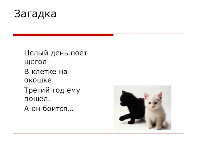 Загадка Целый день поет щегол В клетке на окошке Третий год ему пошел. А он боится…