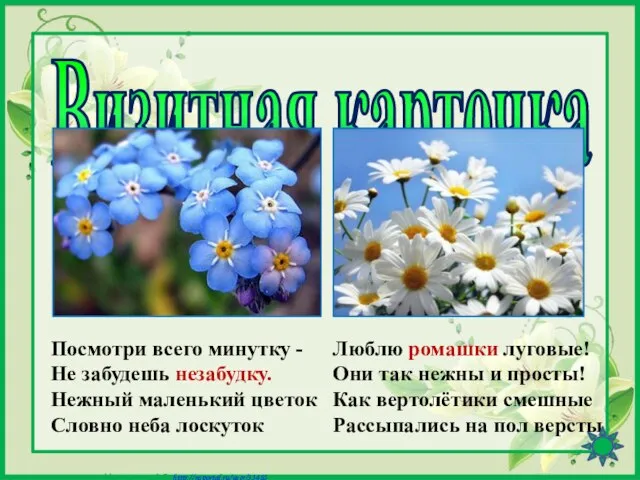 Визитная карточка Посмотри всего минутку - Не забудешь незабудку. Нежный маленький цветок