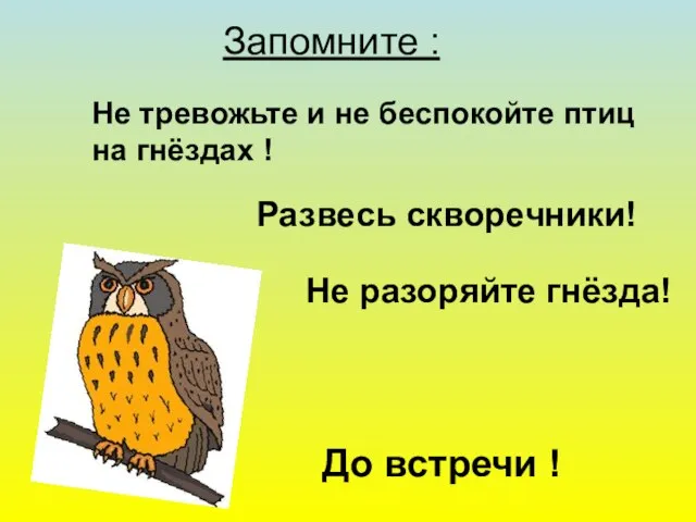 Запомните : Не тревожьте и не беспокойте птиц на гнёздах ! Развесь