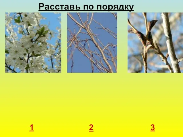 1 2 3 Расставь по порядку