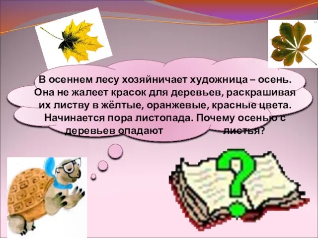 В осеннем лесу хозяйничает художница – осень. Она не жалеет красок для