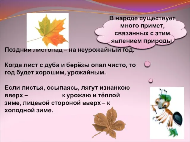 В народе существует много примет, связанных с этим явлением природы. Поздний листопад