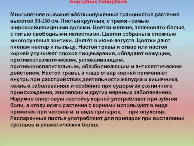 Борщевик сибирский Многолетнее высокое жёсткоопушенное травянистое растение высотой 90-150 см. Листья крупные,