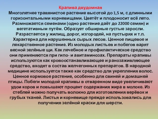 Крапива двудомная Многолетнее травянистое растение высотой до 1,5 м, с длинными горизонтальными