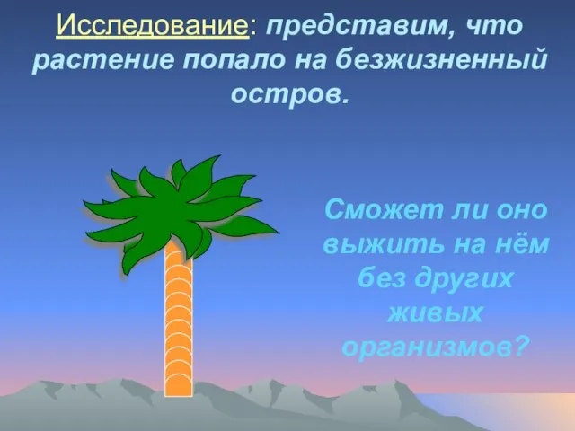 Исследование: представим, что растение попало на безжизненный остров. Сможет ли оно выжить