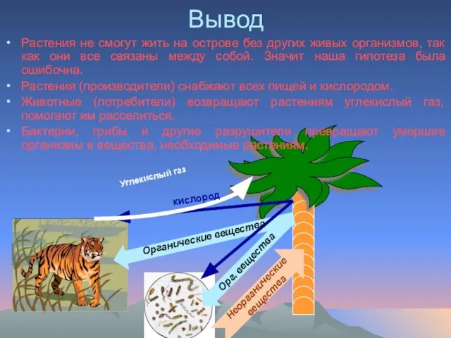 Вывод Растения не смогут жить на острове без других живых организмов, так