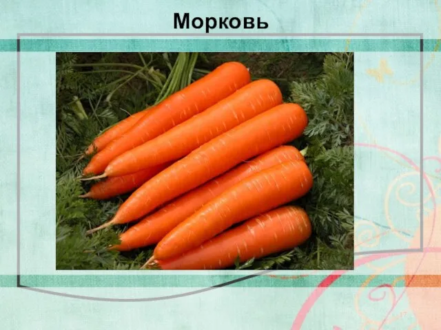 Морковь