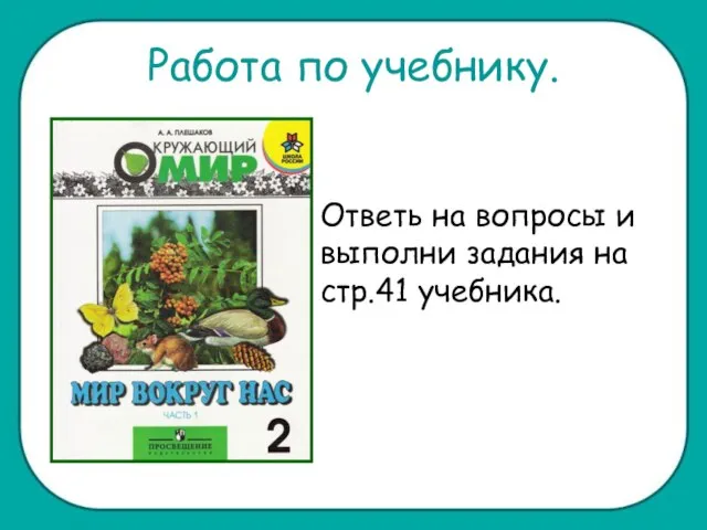 Работа по учебнику. Ответь на вопросы и выполни задания на стр.41 учебника.