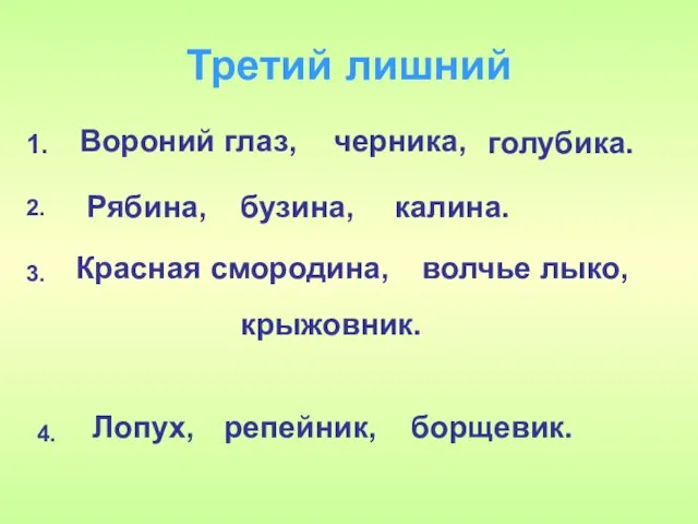 Третий лишний Вороний глаз, черника, голубика. Рябина, бузина, калина. Красная смородина, волчье