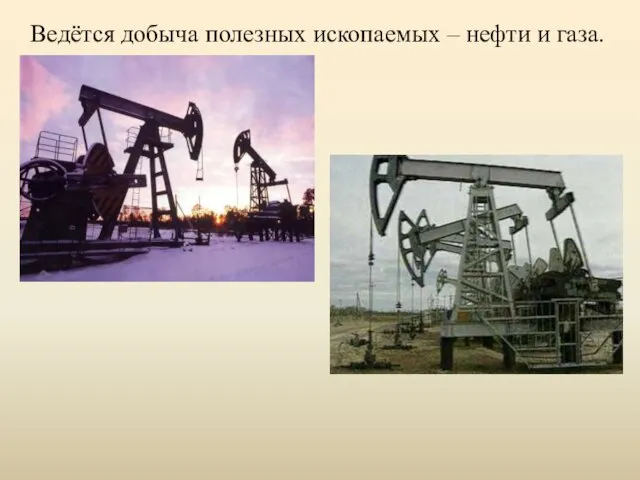 Ведётся добыча полезных ископаемых – нефти и газа.