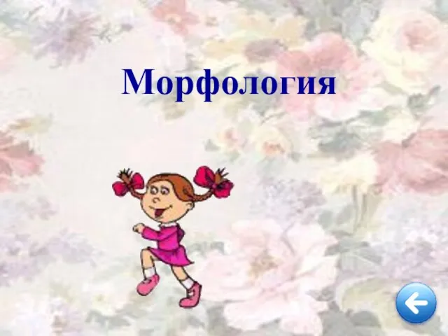 Морфология